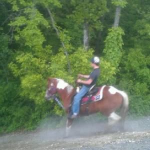 Meet your Posher, Jonathon